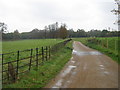 Farm road in Waldershare Park