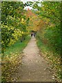 Footpath, University of Bath