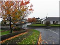 Autumn scene, Georgian Villas