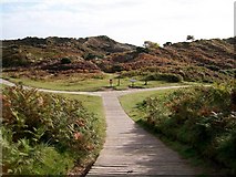 J3933 : Path junction in the Murlough National Nature Reserve by Eric Jones