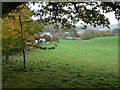 Farmland at Plas Iwrwg