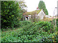 Derelict cottage beside the B1355 road