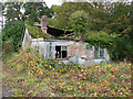 Derelict cottage beside the B1355 road