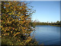 River Tees  by the Bowesfield Industrial Estate