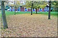 A Carpet of Leaves - Stubbington