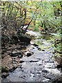 River Clydach at Maesygwartha