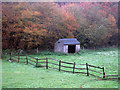 Field Stable near Quornden Farm