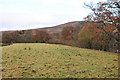 Field on the south bank of the River Spean