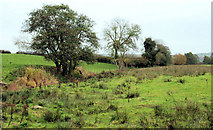 J2866 : Fields, Ballyskeagh near Dunmurry (2) by Albert Bridge