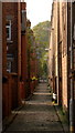 Backalley in Moss Side, Manchester