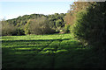 Woods and fields north of Bushwood House