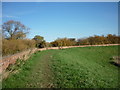 The path along the River Ouse