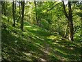 Woodland path running  below Pritchard