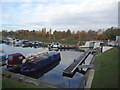 Thames Ditton marina