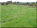 Footpath near Morton-on-Swale