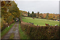 Lane to Steelworks