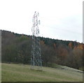 Pylon below Logierait Wood