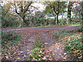 Bridleway junction with Spear Hill