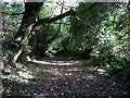 Path along old lane near Brynberian