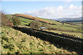 Hillside above Well Head Farm