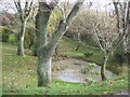 NZ4735 : Pond at Nelson Lodge Nelson Farm Lane Hartlepool by peter robinson