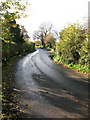 Hardwick Road past Bleach Farm