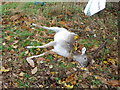 ST7314 : Dead deer near Warr Bridge by Maigheach-gheal