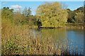 Beggars Hall Fishery