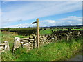 Footpath to Bellerby