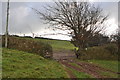 One of three directions that the footpaths lead from Oakridge Farm