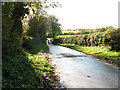 View along Low Ditch Road, Alburgh