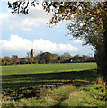 Cultivated field east of Payne