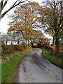 NY4667 : Country road near Shawfoot by Oliver Dixon