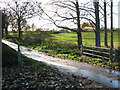 Bridge over stream on Payne