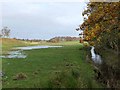 Floodplain of the Hether Burn