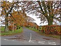 The lane to White Hill