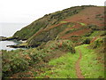 Coast path near West Portholland