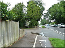 TQ1630 : Stop sign on the cycle path in Guildford Road by Basher Eyre