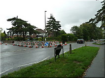 TQ1630 : Junction of Merryfield Drive and Guildford Road by Basher Eyre