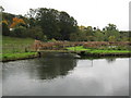 The New River near Chadwell Spring