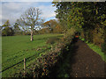 Bridleway to Claygate