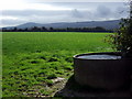 Field, trough and view