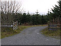 Forestry entrance near Garn Serth