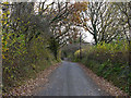 Road heading south towards Blaenpennal