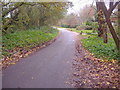 Combe Lane, Worplesdon