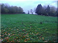 Field by Coombe Lane, Worplesdon