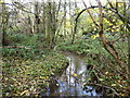 The Coley Brook at Wall Bank