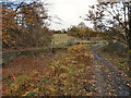 Manchester, Bury & Bolton Canal