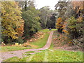 Bournemouth: track through a dip on Meyrick Park golf course