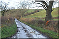 Minor road near Fluchter